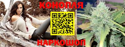 mdpv Кандалакша