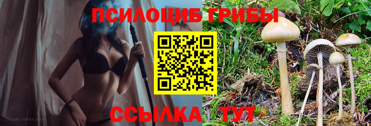 Галлюциногенные грибы GOLDEN TEACHER Черняховск